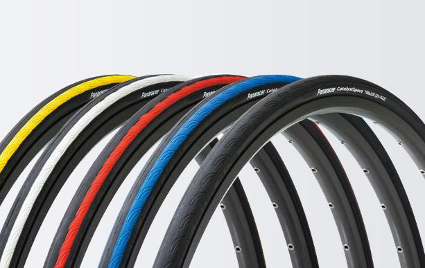 Panaracer Catalyst Sport Wire Tire 700C x 25 - Main Image