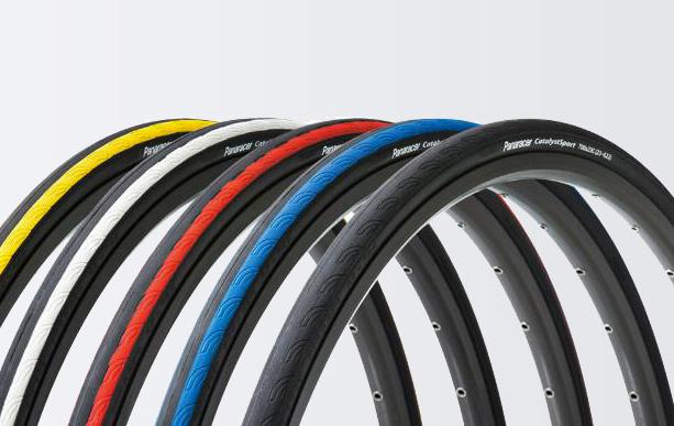 Panaracer Catalyst Sport Wire Tire - Cyclop.in