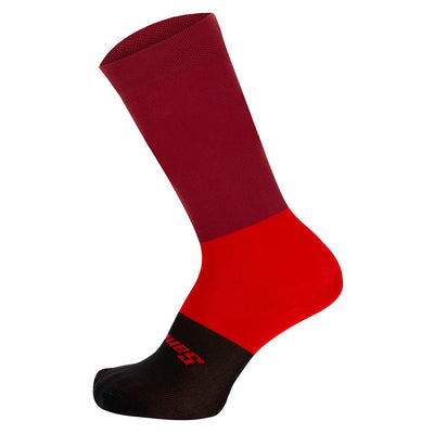 Santini Bengal High Profile Socks - Cyclop.in