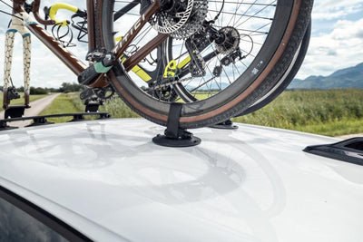 TreeFrog Elite 1 Bike Rack - Cyclop.in