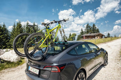 TreeFrog Pro 2 Plus Bike Rack - Universal Mount - Cyclop.in