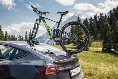 TreeFrog Pro 1 Plus Bike Rack - Universal Mount - Cyclop.in