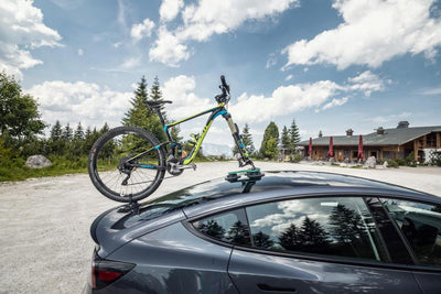 TreeFrog Pro 1 Plus Bike Rack - Universal Mount - Cyclop.in