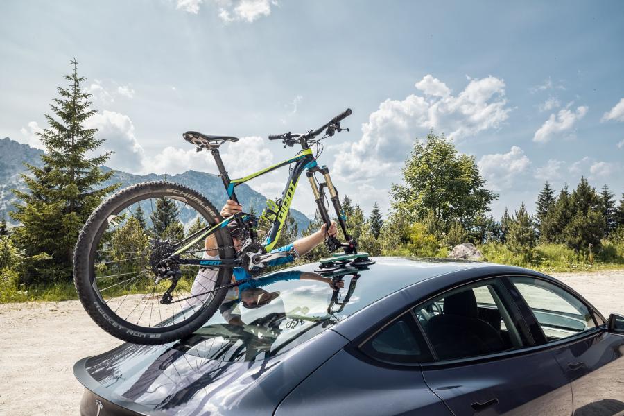 TreeFrog Pro 1 Plus Bike Rack - Universal Mount - Cyclop.in