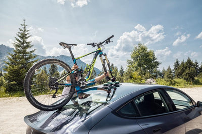 TreeFrog Pro 1 Plus Bike Rack - Universal Mount - Cyclop.in
