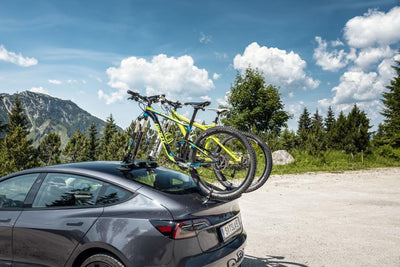 TreeFrog Pro 2 Plus Bike Rack - Universal Mount - Cyclop.in