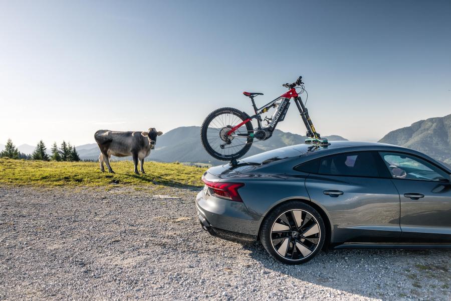 TreeFrog Pro 2 Plus Bike Rack - Universal Mount - Cyclop.in