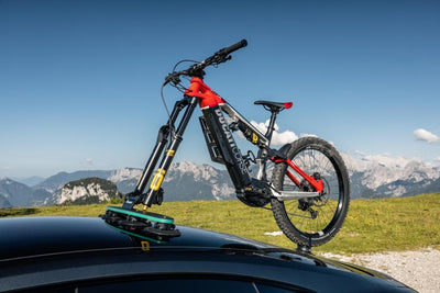 TreeFrog Pro 2 Plus Bike Rack - Universal Mount - Cyclop.in