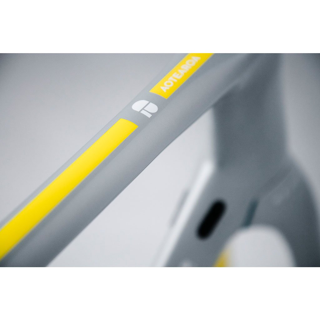 Chapter2 RERE Aero Road Rim Brake Frameset - Silver Yellow - Cyclop.in