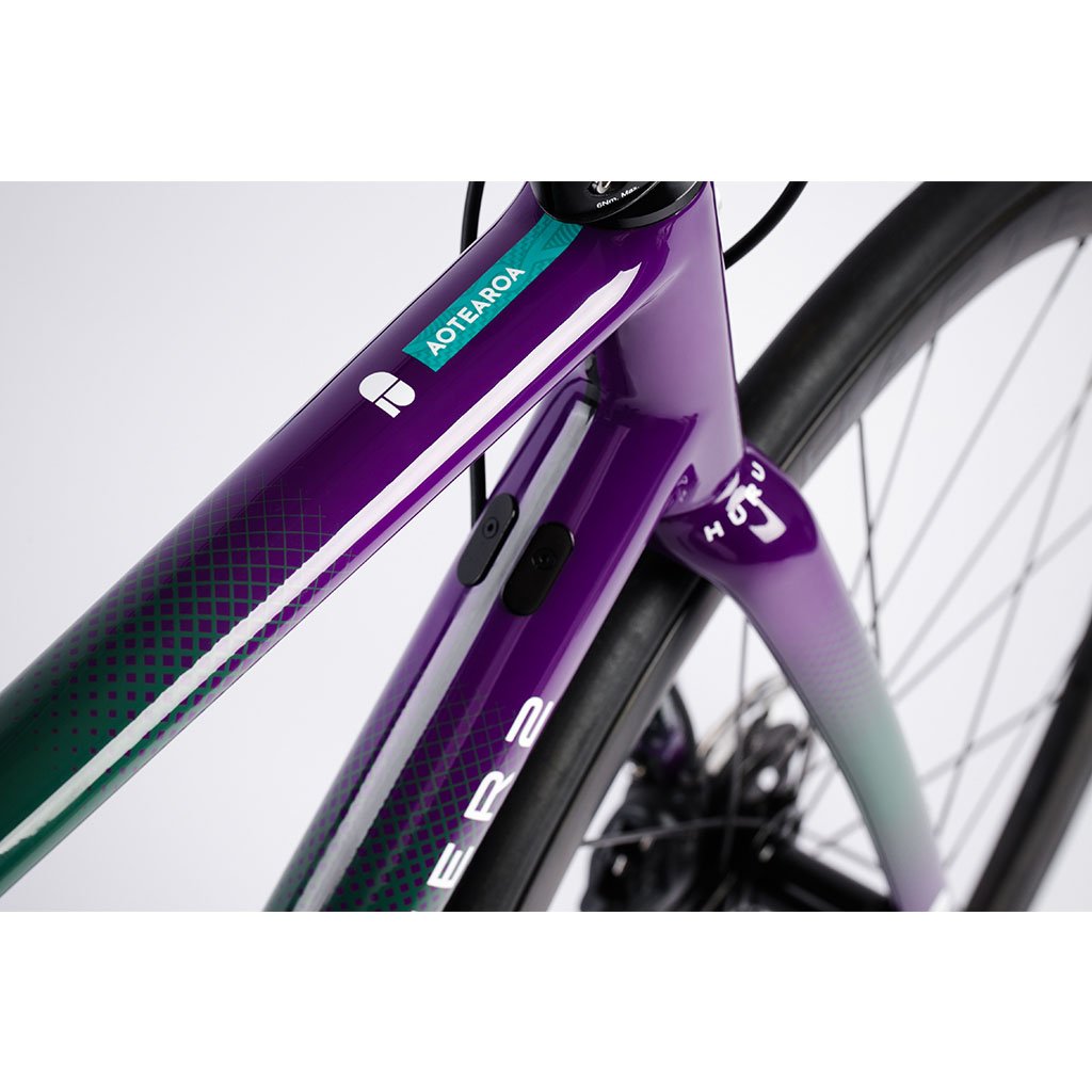 Chapter2 HURU Climbing Rim Brake Frameset - Green Purple - Cyclop.in