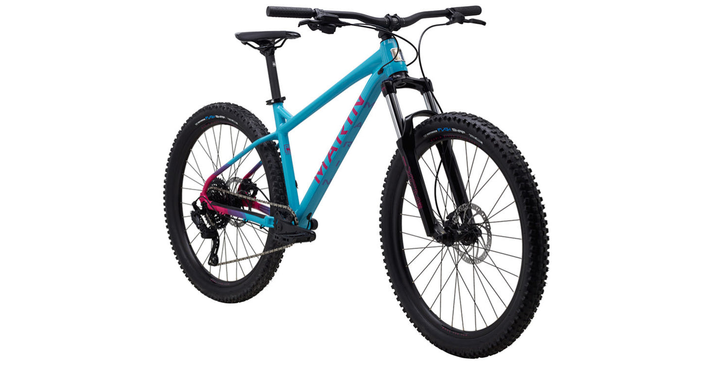 San quentin sales bike frame