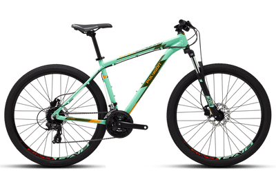 2021 polygon on sale cascade 4.0