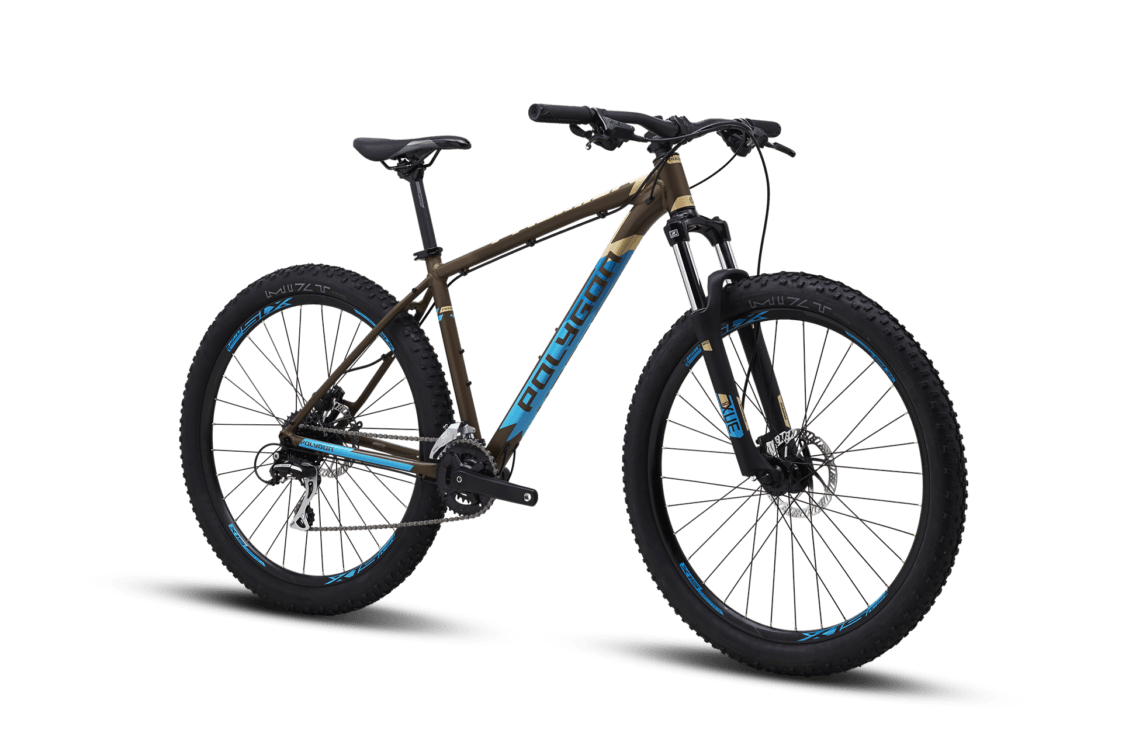 Polygon premier top 5 29er