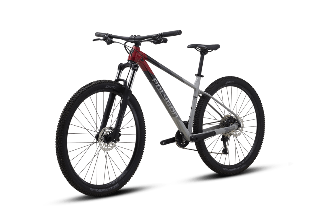 Polygon Xtrada 5 MTB Bicycle (2021) - Cyclop.in