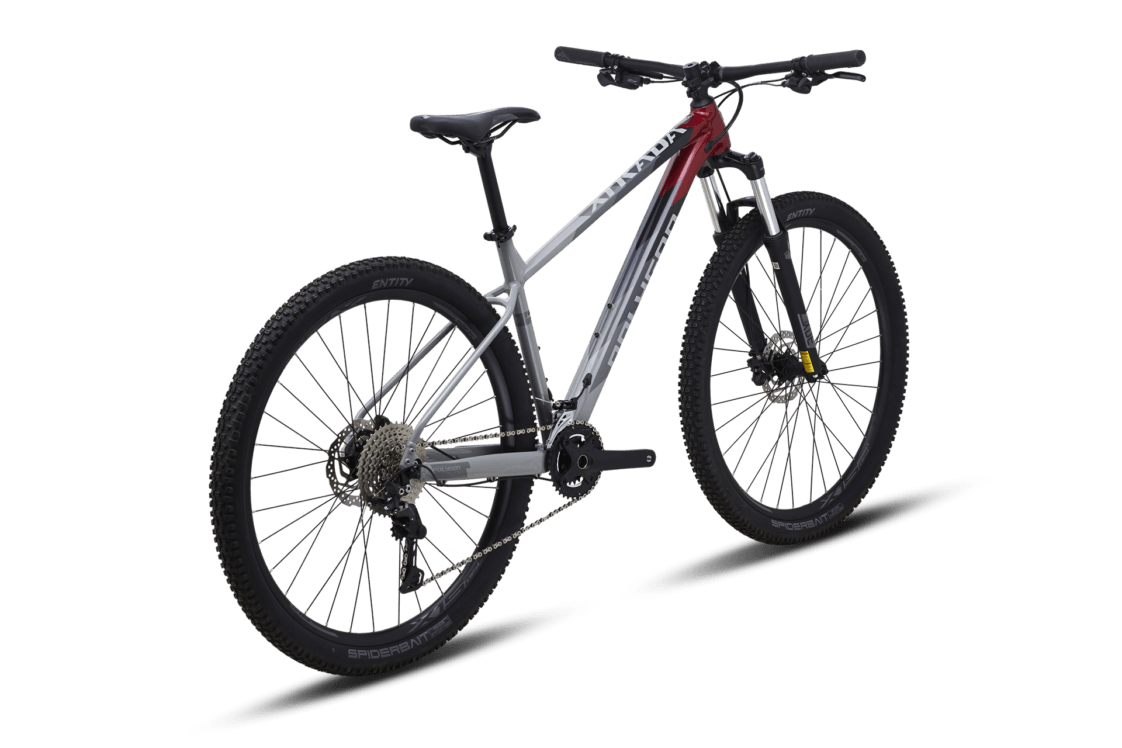 Polygon Xtrada 5 MTB Bicycle (2021) - Cyclop.in