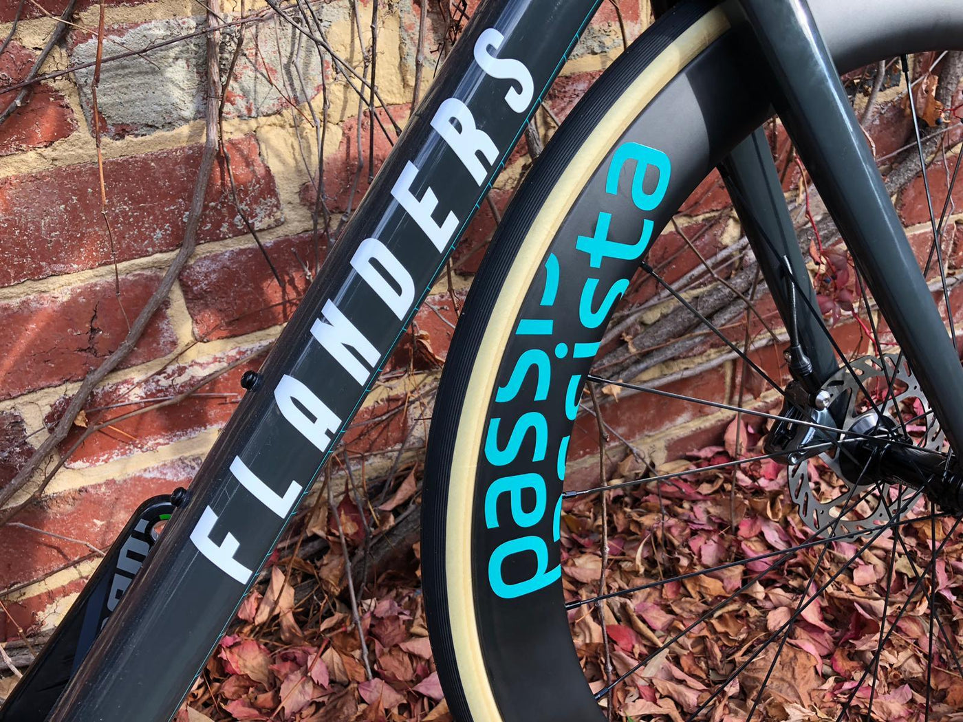 Parcours Custom Rim Graphics - Cyclop.in